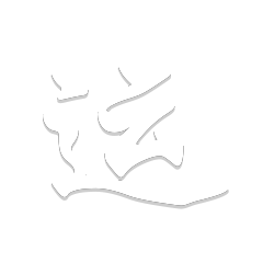 运